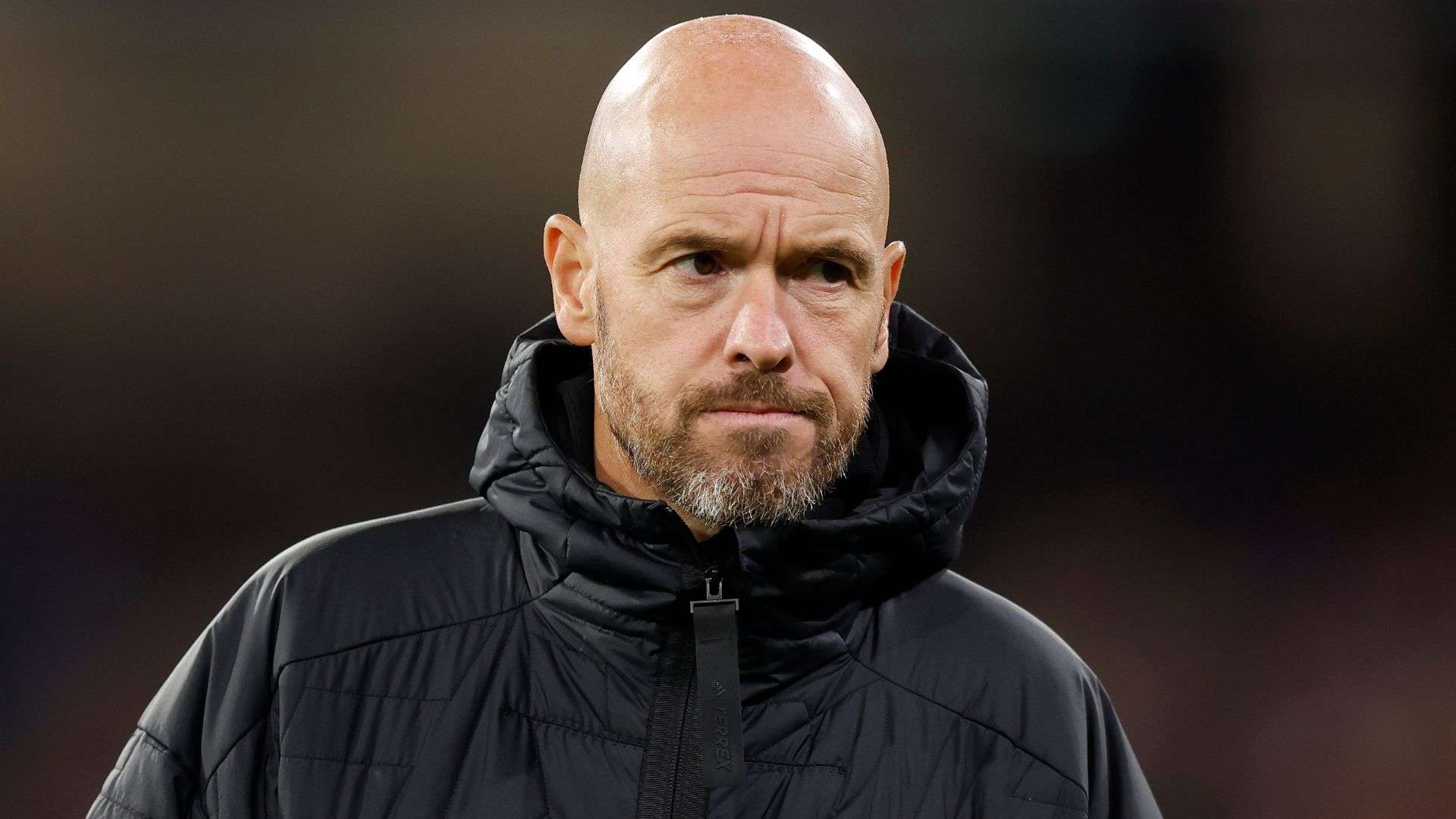 它们的体型 它们的体型