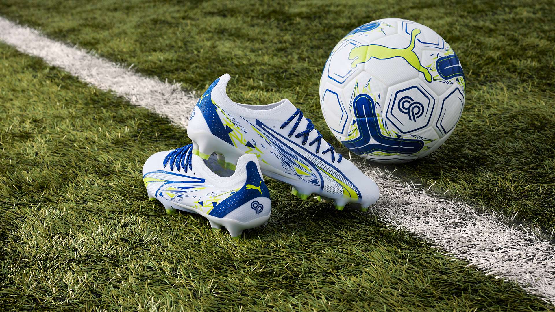 表示关注 表示关注