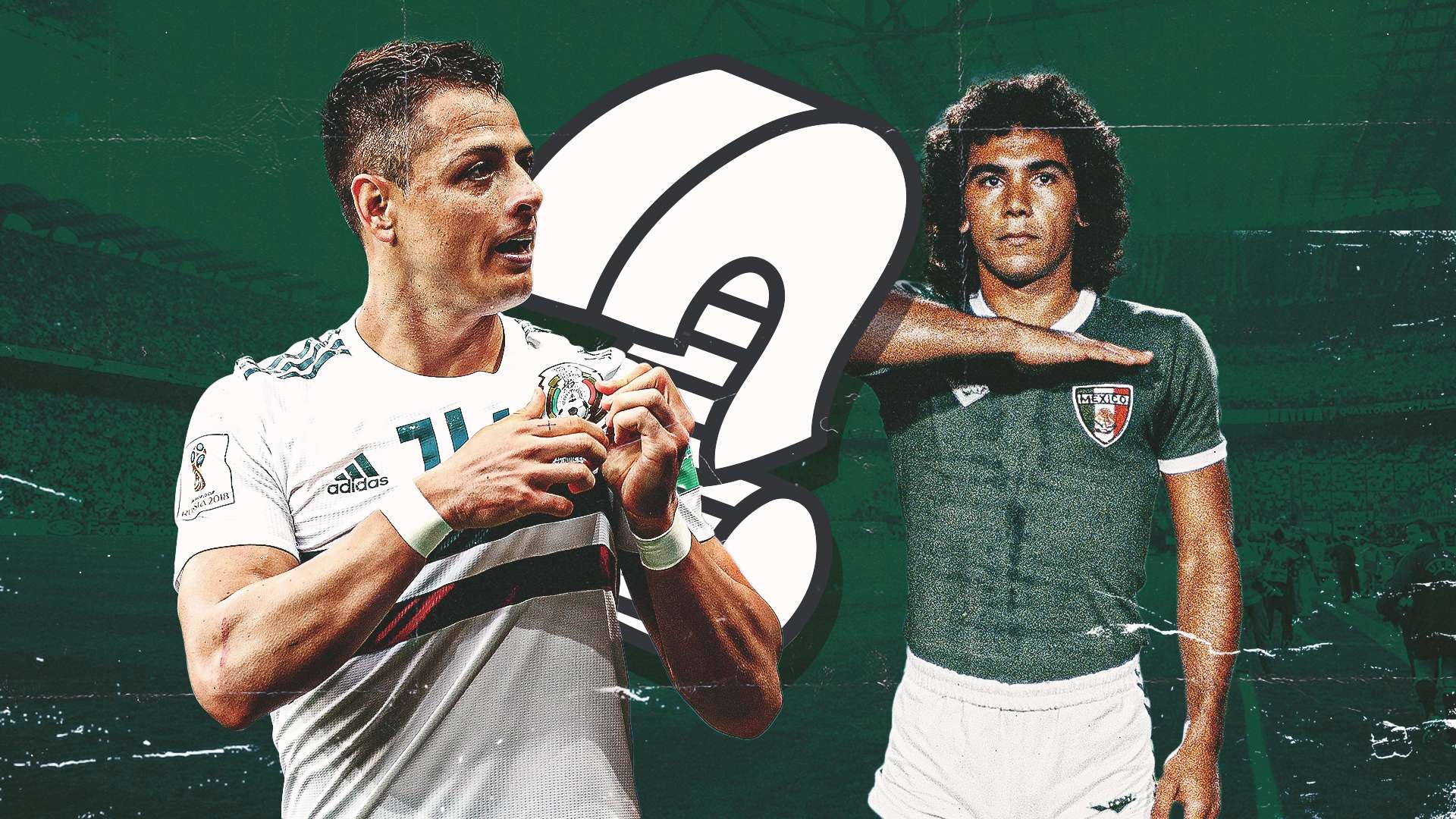 学科知识 学科知识